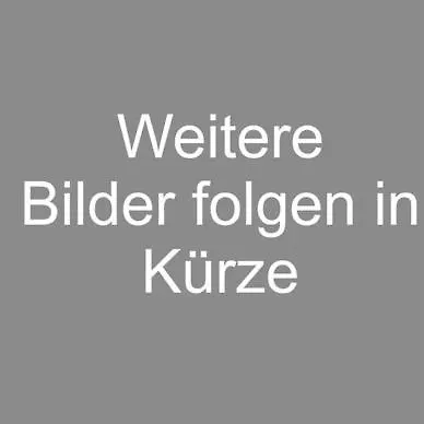 Bodanblick Bodman-Ludwigshafen